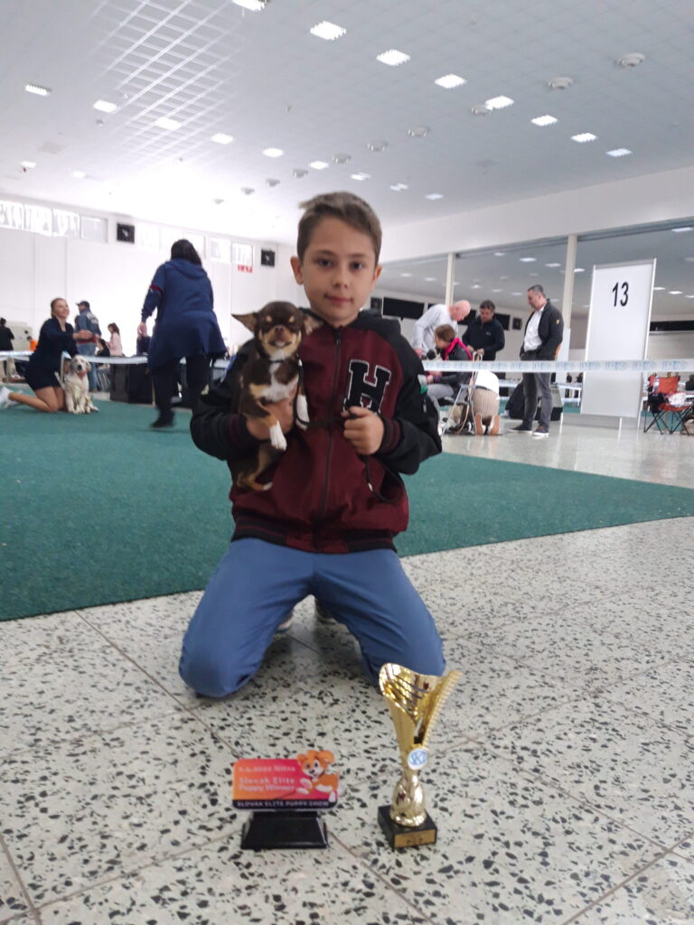 Chlapec so psom a trofejou na výstave.