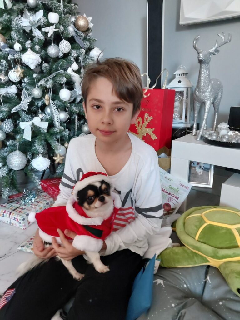 Chlapec so psom vianočne oblečeným pri stromčeku.