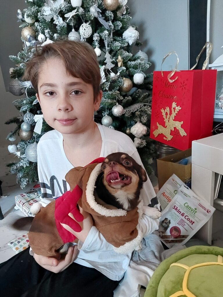 Chlapec s psom pri vianočnom stromčeku.